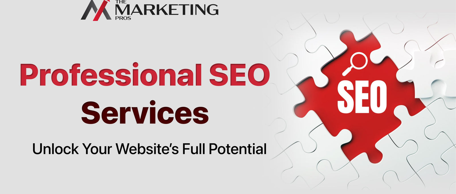 Professional SEO Services – Unlock Your Website’s Full Potential